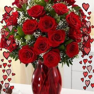 Meet your Posher, Alma